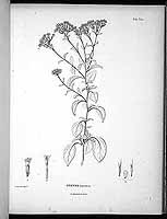  no thumbnail available