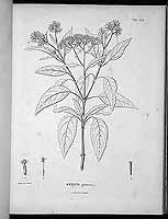  no thumbnail available