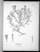  no thumbnail available