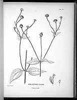  no thumbnail available