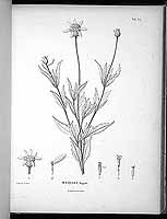  no thumbnail available