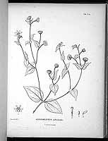  no thumbnail available