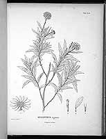  no thumbnail available