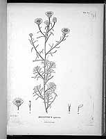  no thumbnail available