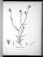  no thumbnail available