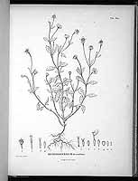  no thumbnail available