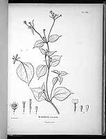  no thumbnail available