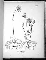  no thumbnail available