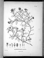  no thumbnail available