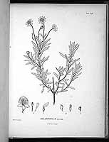  no thumbnail available