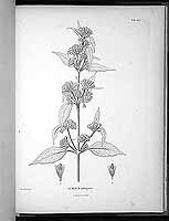  no thumbnail available