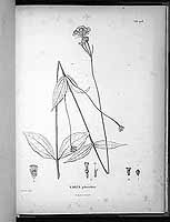  no thumbnail available