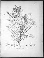  no thumbnail available