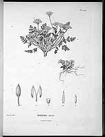  no thumbnail available