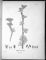  no thumbnail available