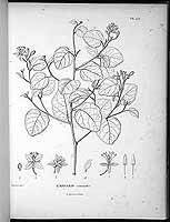  no thumbnail available