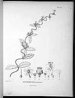  no thumbnail available