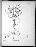  no thumbnail available