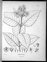  no thumbnail available