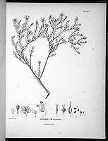  no thumbnail available