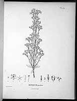  no thumbnail available