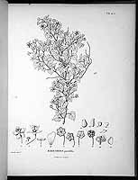  no thumbnail available