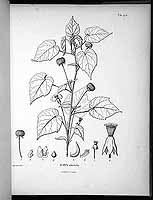  no thumbnail available