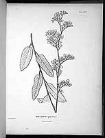  no thumbnail available