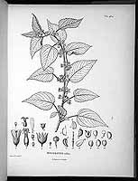  no thumbnail available