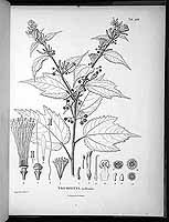  no thumbnail available