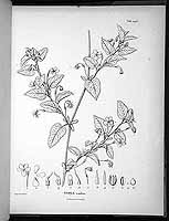  no thumbnail available