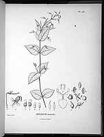  no thumbnail available