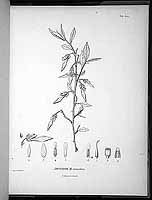  no thumbnail available