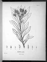  no thumbnail available