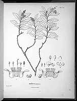  no thumbnail available