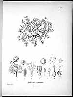  no thumbnail available