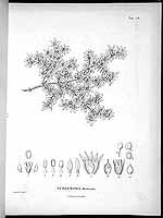  no thumbnail available