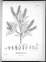  no thumbnail available