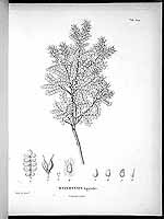  no thumbnail available