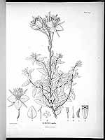  no thumbnail available