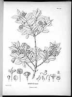  no thumbnail available