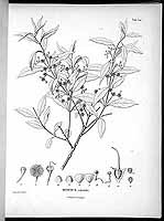  no thumbnail available