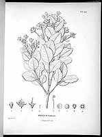  no thumbnail available