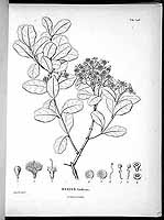  no thumbnail available