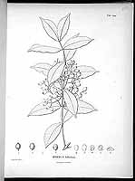  no thumbnail available