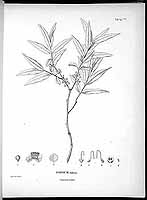  no thumbnail available