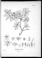  no thumbnail available