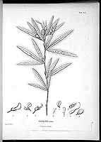  no thumbnail available