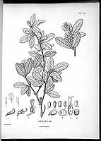  no thumbnail available