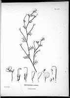  no thumbnail available